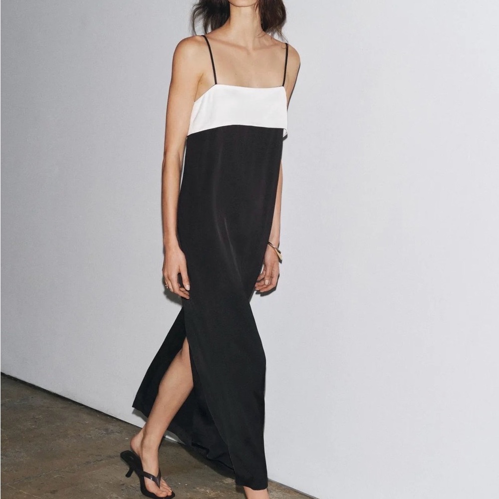 Zara Monochrome Maxi Dress